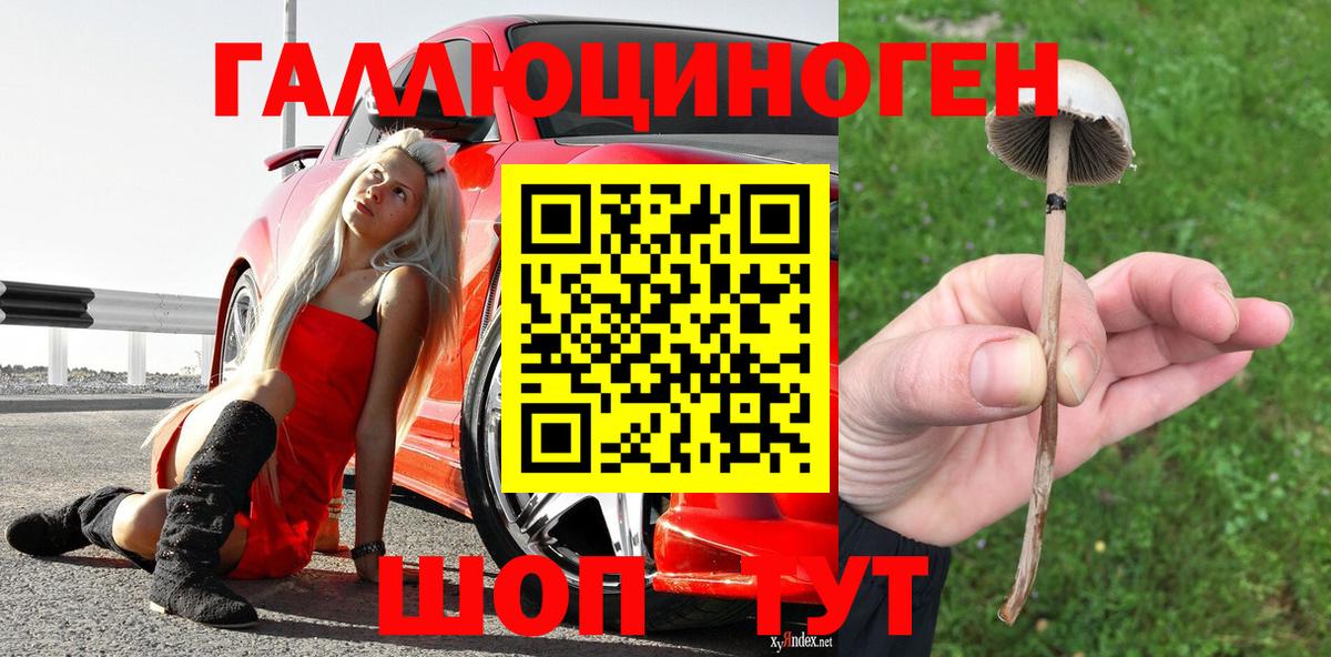Галлюциногенные грибы Magic Shrooms Пугачёв