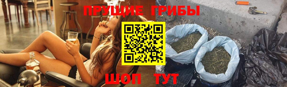 Псилоцибиновые грибы GOLDEN TEACHER  Вход с VPN  Галлюциногенные грибы MAGIC MUSHROOMS  Пугачёв 